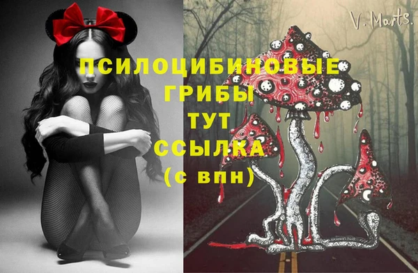 дживик Балахна