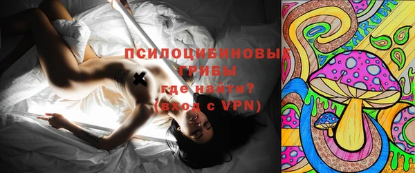дживик Балахна