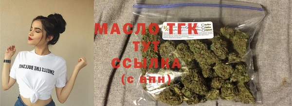 сатива Кулебаки