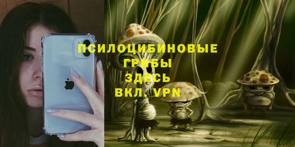 a pvp Кукмор